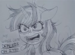 Size: 2219x1632 | Tagged: safe, imported from derpibooru, twilight sparkle, pony, unicorn, lesson zero, exploitable meme, female, image macro, insane twilight, meme, messy mane, photo, solo, traditional art, twilight snapple