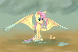 Size: 1777x1177 | Tagged: safe, artist:tigerett, artist:tigerett01, imported from derpibooru, fluttershy, pegasus, pony, atg 2020, duckling, female, mare, newbie artist training grounds, rain, smiling, wet mane, wing umbrella