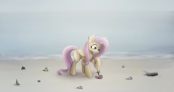 Size: 1280x683 | Tagged: safe, artist:zetamad, imported from derpibooru, fluttershy, pegasus, pony, atg 2020, beach, cleaning, female, newbie artist training grounds, solo, trash