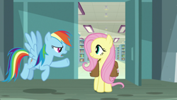 Size: 1920x1080 | Tagged: safe, imported from derpibooru, screencap, fluttershy, rainbow dash, daring doubt