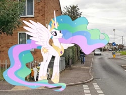 Size: 1024x768 | Tagged: safe, artist:celestiaisbestponyyt, artist:princesslunayay, artist:sonofaskywalker, imported from derpibooru, princess celestia, alicorn, human, pony, bicycle, britain, car, crown, cute, cutelestia, deviantart, deviantart watermark, england, excited, female, hoof shoes, irl, irl human, jewelry, mare, necklace, obtrusive watermark, photo, ponies in real life, regalia, smiling, united kingdom, vauxhall, watermark