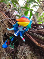 Size: 1280x1707 | Tagged: safe, artist:jennobasilicum, imported from derpibooru, rainbow dash, equestria girls, doll, equestria girls minis, eqventures of the minis, female, solo, toy