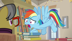 Size: 1920x1080 | Tagged: safe, imported from derpibooru, screencap, a.k. yearling, rainbow dash, daring doubt