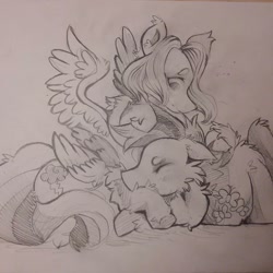 Size: 1080x1080 | Tagged: safe, artist:c_owokie, imported from derpibooru, fluttershy, rainbow dash, pegasus, pony, duo, eyes closed, female, fluffy, flutterdash, lesbian, lineart, mare, monochrome, prone, shipping, snuggling, traditional art