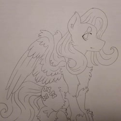 Size: 1080x1080 | Tagged: safe, artist:c_owokie, imported from derpibooru, fluttershy, pegasus, pony, chest fluff, female, fluffy, lineart, mare, smiling, solo, traditional art, unshorn fetlocks