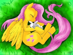 Size: 512x387 | Tagged: safe, artist:0pika-chan0, imported from derpibooru, fluttershy, pegasus, pony, rabbit, animal, curled up, duo, eyes closed, female, grass, high angle, lying down, mare, on side, side, sleeping, top down, wings