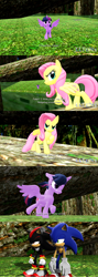 Size: 1280x3600 | Tagged: safe, artist:elton's stuff, imported from derpibooru, fluttershy, twilight sparkle, alicorn, meme, parody, ponified meme, shadow the hedgehog, sonic the hedgehog, sonic the hedgehog (series), twilight sparkle (alicorn)