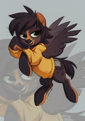 Size: 905x1280 | Tagged: safe, artist:zazush-una, imported from derpibooru, oc, oc only, oc:zazush, pegasus, pony, clothes, female, hoodie, mare, solo, zoom layer