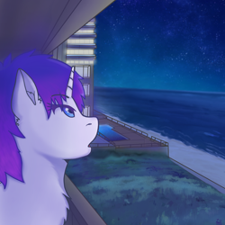 Size: 4096x4096 | Tagged: safe, artist:legionsunite, imported from derpibooru, oc, oc only, oc:magenta pulse, pony, unicorn, apartment, beach, female, looking up, mare, night, solo, stars