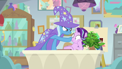 Size: 1920x1080 | Tagged: safe, imported from derpibooru, screencap, phyllis, starlight glimmer, trixie, pony, unicorn, a horse shoe-in, boop, cape, clothes, desk, duo, female, hat, mare, philodendron, plant, potted plant, trixie's cape, trixie's hat