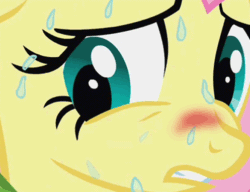 Size: 497x382 | Tagged: safe, edit, edited screencap, imported from derpibooru, screencap, fluttershy, pegasus, pony, green isn't your color, animated, blushing, cropped, female, gif, scared, solo, sweat, vibrating, worried