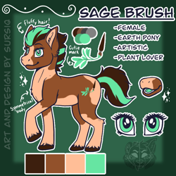 Size: 800x800 | Tagged: safe, artist:sursiq, imported from derpibooru, oc, oc only, oc:sagebrush, earth pony, pony, reference sheet, solo