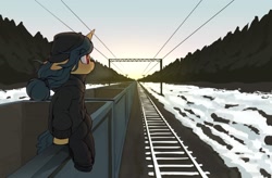 Size: 1998x1313 | Tagged: safe, artist:shinodage, imported from derpibooru, fresh coat, pony, unicorn, beanie, cart, clothes, female, floppy ears, freighthopping, hat, hoodie, mare, pants, profile, railroad, scenery, sitting, snow, solo, train, train surfing, winter