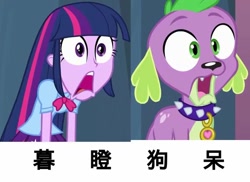 Size: 680x494 | Tagged: safe, edit, edited screencap, imported from derpibooru, screencap, spike, twilight sparkle, dog, equestria girls, equestria girls (movie), chinese, fun, funny, kanji, meme, spike the dog, stare, translation request, twilight sparkle (alicorn)