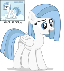 Size: 2000x2229 | Tagged: safe, artist:le-23, imported from derpibooru, oc, oc only, oc:snow cloud, pegasus, pony, misspelling, pegasus oc, rework, simple background, solo, transparent background, vector, wings