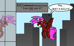 Size: 1000x627 | Tagged: safe, artist:rainbowbacon, imported from derpibooru, oc, oc only, oc:rainbowbacon, pegasus, pony, building, city, newbie artist training grounds, sign, solo
