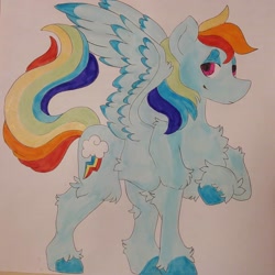 Size: 1080x1080 | Tagged: safe, artist:c_owokie, imported from derpibooru, rainbow dash, pegasus, pony, chest fluff, colored hooves, female, fluffy, mare, raised hoof, solo, traditional art, unshorn fetlocks