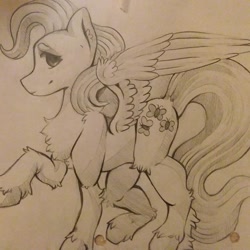 Size: 1080x1080 | Tagged: safe, artist:c_owokie, imported from derpibooru, fluttershy, pegasus, pony, chest fluff, female, fluffy, lineart, mare, raised hoof, solo, traditional art, unshorn fetlocks