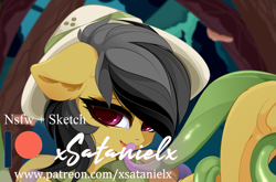 Size: 3987x2632 | Tagged: safe, artist:xsatanielx, imported from derpibooru, daring do, pony, advertisement, patreon, patreon logo, patreon preview, paywall content