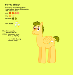 Size: 2585x2653 | Tagged: safe, artist:theawesomeguy98201, imported from derpibooru, oc, oc:stormshiner, pegasus, pony, male, reference sheet, stallion