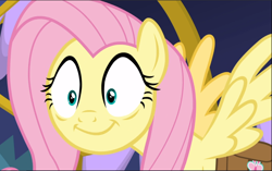 Size: 1502x942 | Tagged: safe, imported from derpibooru, screencap, fluttershy, pony, a health of information, cropped, female, shrunken pupils, smiling, solo, spread wings, wings