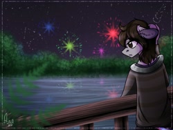 Size: 1024x768 | Tagged: safe, artist:loni_ee_, imported from derpibooru, oc, oc only, anthro, earth pony, clothes, earth pony oc, fireworks, frown, lake, male, night, outdoors, redraw, signature, solo, stars, tree