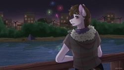 Size: 1080x607 | Tagged: safe, artist:loni_ee_, imported from derpibooru, oc, oc only, anthro, earth pony, building, clothes, earth pony oc, fireworks, frown, lake, looking back, male, night, outdoors, redraw, signature, solo, stars, tree