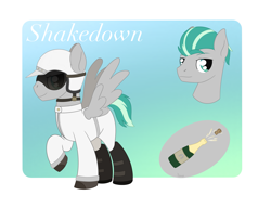 Size: 2587x1985 | Tagged: safe, artist:dyonys, imported from derpibooru, oc, oc:shakedown, pegasus, pony, alcohol, bust, champagne, clothes, helmet, male, racer, racing suit, reference sheet, stallion, wine