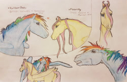 Size: 1446x934 | Tagged: safe, artist:themoonraven, imported from derpibooru, fluttershy, rainbow dash, pegasus, pony, 2017, duo, duo female, female, flutterdash, grooming, hoers, horses doing horse things, icelandic, lesbian, marwari, pencil drawing, realistic anatomy, shipping, simple background, spread wings, text, traditional art, wings