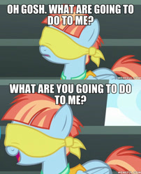 Size: 600x744 | Tagged: safe, edit, edited screencap, imported from derpibooru, screencap, windy whistles, pegasus, pony, parental glideance, blindfold, caption, family guy, female, image macro, mare, memeful.com, text