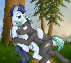 Size: 1700x1500 | Tagged: safe, artist:uliovka, imported from derpibooru, soarin', thunderlane, pegasus, pony, backwards cutie mark, cuddling, cute, forest, gay, happy, male, pine tree, shipping, soarilane, soarinbetes, stallion, sunset, thunderbetes, tree