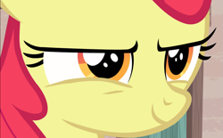 Size: 1503x933 | Tagged: safe, imported from derpibooru, screencap, apple bloom, pony, hard to say anything, close-up, cropped, evil grin, female, grin, narrowed eyes, smiling, solo