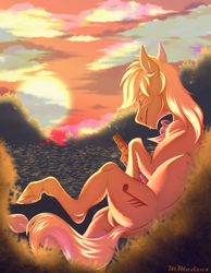 Size: 3500x4500 | Tagged: safe, artist:murshumadzex, imported from derpibooru, earth pony, pony, bottle, high res, male, solo, stallion, sunset