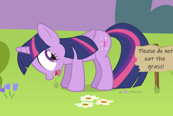 Size: 940x630 | Tagged: safe, artist:dm29, edit, imported from derpibooru, twilight sparkle, alicorn, pony, copyright, female, frown, fuck the police, grass, grazing, herbivore, horses doing horse things, keep off the grass, looking back, mare, open mouth, pure unfiltered evil, secret shame, sign, silly, silly pony, solo, twilight sparkle (alicorn), wide eyes