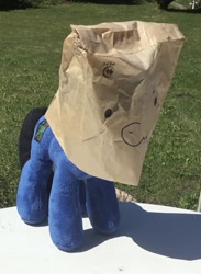 Size: 1201x1645 | Tagged: safe, artist:bastler, imported from derpibooru, oc, oc:digital wrench, oc:paper bag, pony, face on a bag, i think that's not the paper bag pony, irl, male, paper bag, photo, plushie, stallion