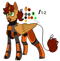 Size: 1393x1413 | Tagged: safe, artist:medicalmysteries, imported from derpibooru, alicorn, pony, broken horn, clothes, glasses, gordon freeman, half-life, horn, male, ponified, reference sheet, simple background, smiling, solo, stallion, transparent background