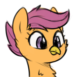 Size: 4000x4000 | Tagged: safe, artist:handgunboi, imported from derpibooru, scootaloo, bird, chicken, pony, beak, female, scootachicken, simple background, solo, species swap, white background