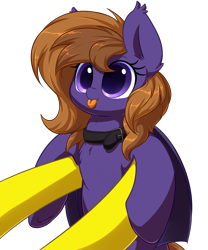 Size: 5000x6000 | Tagged: safe, artist:acersiii, imported from derpibooru, oc, oc:lemon drop, oc:lunar rose, bat pony, pony, :p, bat pony oc, big eyes, blepping, chest fluff, collar, colored pupils, commission, cute, dilated pupils, ear fluff, ear tufts, female, holding a pony, mare, ocbetes, offscreen character, orange mane, pov, purple coat, purple eyes, simple background, small pony, smiling, solo focus, tongue out, transparent background, underhoof, wings