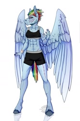 Size: 1024x1545 | Tagged: safe, alternate version, artist:heroin-burn, imported from derpibooru, rainbow dash, anthro, unguligrade anthro, clothes, ear piercing, female, piercing, scar, shorts, simple background, solo, sports bra, sports shorts, white background