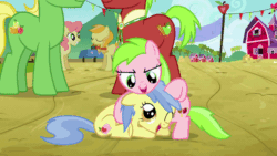 Size: 576x324 | Tagged: safe, imported from derpibooru, screencap, apple cinnamon, apple flora, gala appleby, jonagold, marmalade jalapeno popette, pink lady, sweet tooth, wensley, pony, apple family reunion, animated, apple family member, cute, diabetes, eyes closed, female, filly, gif, grin, male, mare, noogie, open mouth, sitting, smiling, stallion, underhoof