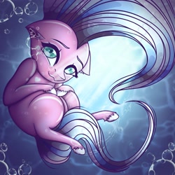 Size: 2048x2048 | Tagged: safe, artist:ericsson, imported from derpibooru, oc, oc only, oc:clear skies, oc:clear sky, earth pony, pony, bubble, returned, shine, solo, underwater, water