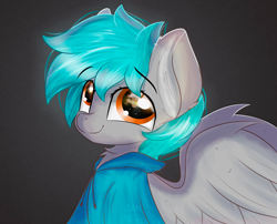 Size: 3588x2893 | Tagged: safe, artist:janelearts, imported from derpibooru, oc, oc only, pegasus, pony, bust, clothes, hoodie, male, portrait, solo, stallion