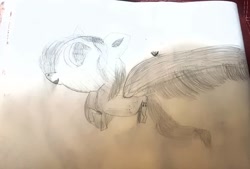 Size: 1080x729 | Tagged: safe, artist:bellas.den, imported from derpibooru, oc, oc only, pegasus, pony, pegasus oc, solo, traditional art, wings