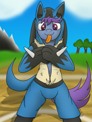 Size: 3024x4032 | Tagged: safe, artist:tacomytaco, imported from derpibooru, oc, oc only, oc:windy dripper, lucario, pegasus, pony, semi-anthro, belly button, bipedal, clothes, costume, cute, dressup, male, pokémon, pokémon hoodie, tongue out