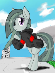 Size: 720x960 | Tagged: safe, artist:a.s.e, imported from derpibooru, marble pie, pony, bipedal, clothes, female, impressed, mare, solo
