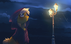 Size: 3228x1996 | Tagged: safe, artist:lightning-stars, artist:ls_skylight, imported from derpibooru, oc, oc only, oc:lightning star, earth pony, pony, clothes, hoodie, lamppost, night, solo