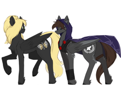 Size: 3000x2393 | Tagged: safe, artist:nsilverdraws, imported from derpibooru, oc, oc only, oc:nightstalker, oc:veen sundown, horse, pegasus, pony, cape, clothes, duo, duo female, female, hood, mare, raised hoof, simple background, standing, sundown clan, white background