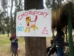 Size: 600x450 | Tagged: safe, artist:ionipony, artist:wrath-marionphauna, imported from derpibooru, oc, oc only, oc:choripony, bread, chile, chilean, choripan, convention, food, meta, picture, traditional art