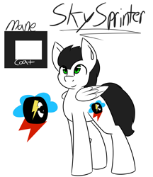 Size: 1769x2048 | Tagged: safe, artist:askhypnoswirl, imported from derpibooru, oc, oc only, oc:skysprinter, pony, colors, cutie mark, name, reference sheet, simple, simple background, solo, white background