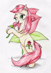 Size: 1984x2845 | Tagged: safe, artist:40kponyguy, derpibooru exclusive, imported from derpibooru, roseluck, earth pony, pony, bipedal, cute, cuteluck, cutie mark, cutie mark background, ear fluff, female, flower, hoof hold, looking at you, mare, one eye closed, rosabetes, rose, simple background, solo, traditional art, wink